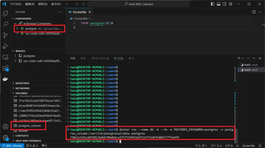 コンテナを起動（volumesオプション）