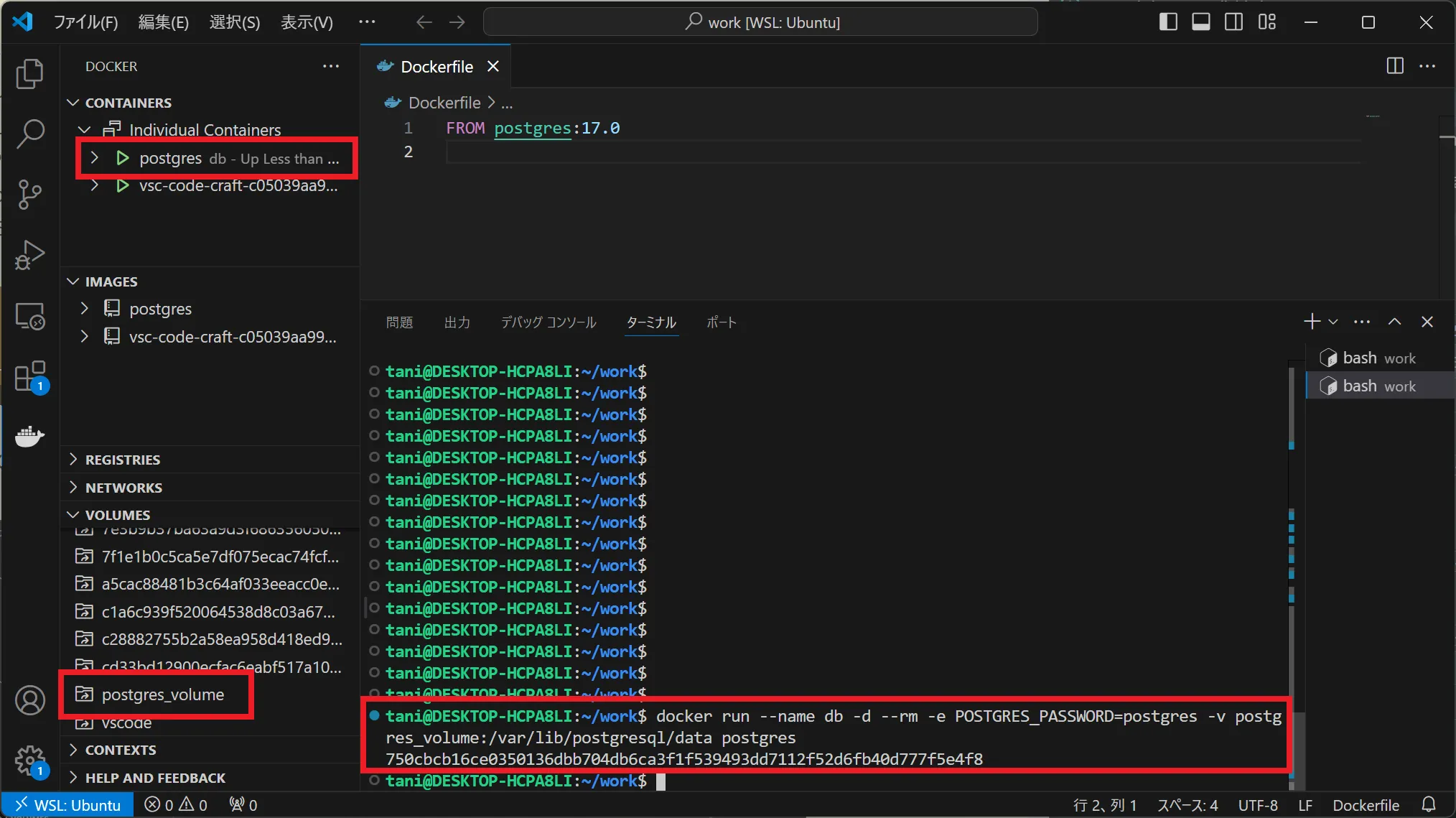 コンテナを起動(volumesオプション)